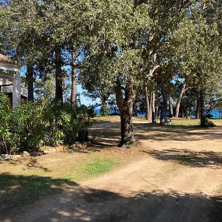 De Bord De Pinarellu