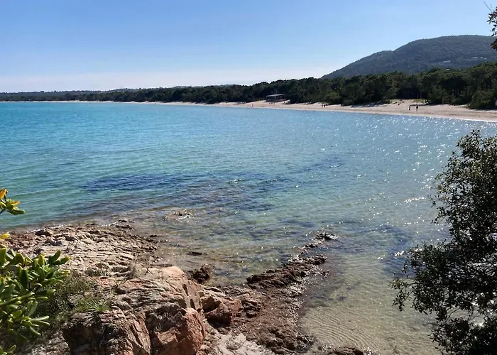 De Bord De Pinarellu