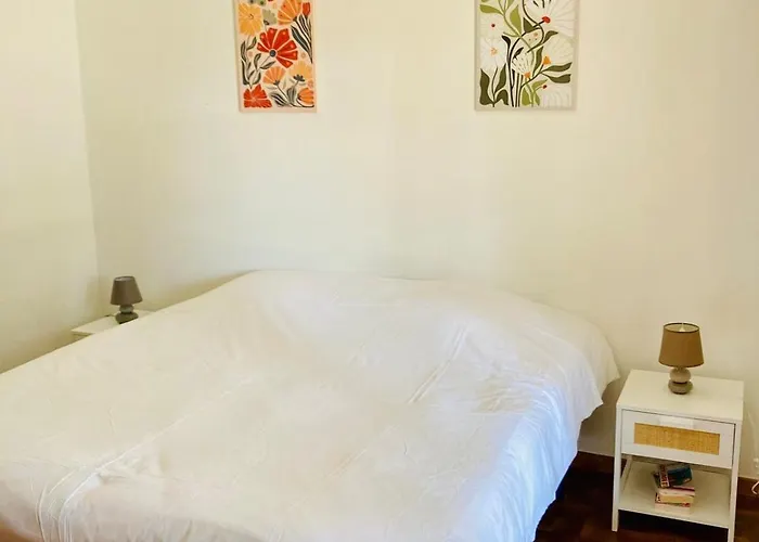 De Bord De Tatil Evi Pinarellu