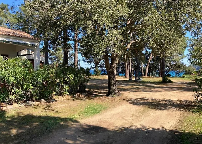 De Bord De Pinarellu