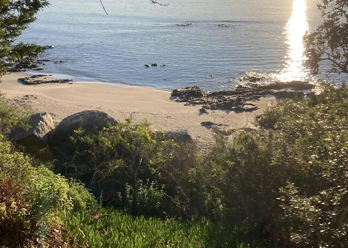 Tatil Evi De Bord De Pinarellu