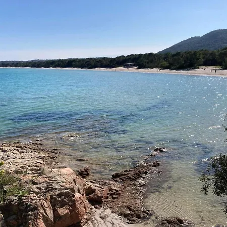 De Bord De Pinarellu