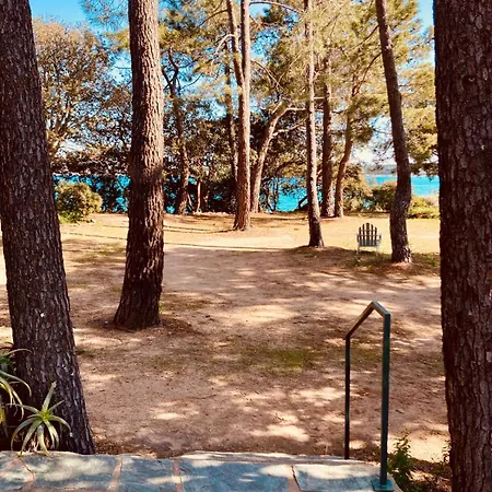 De Bord De Pinarellu